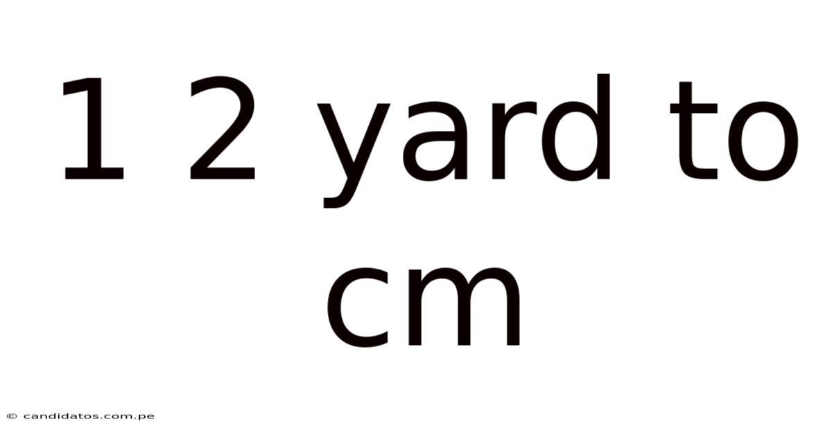 1 2 Yard To Cm