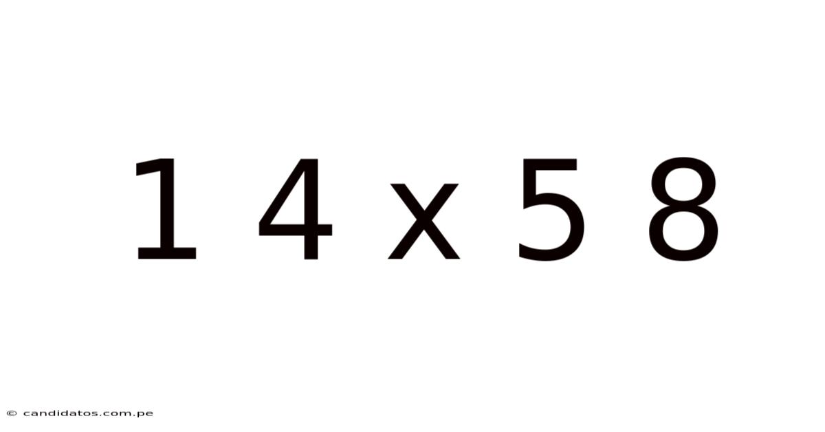 1 4 X 5 8