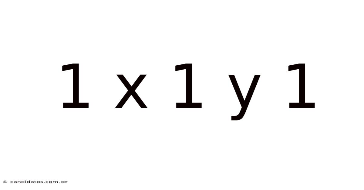 1 X 1 Y 1