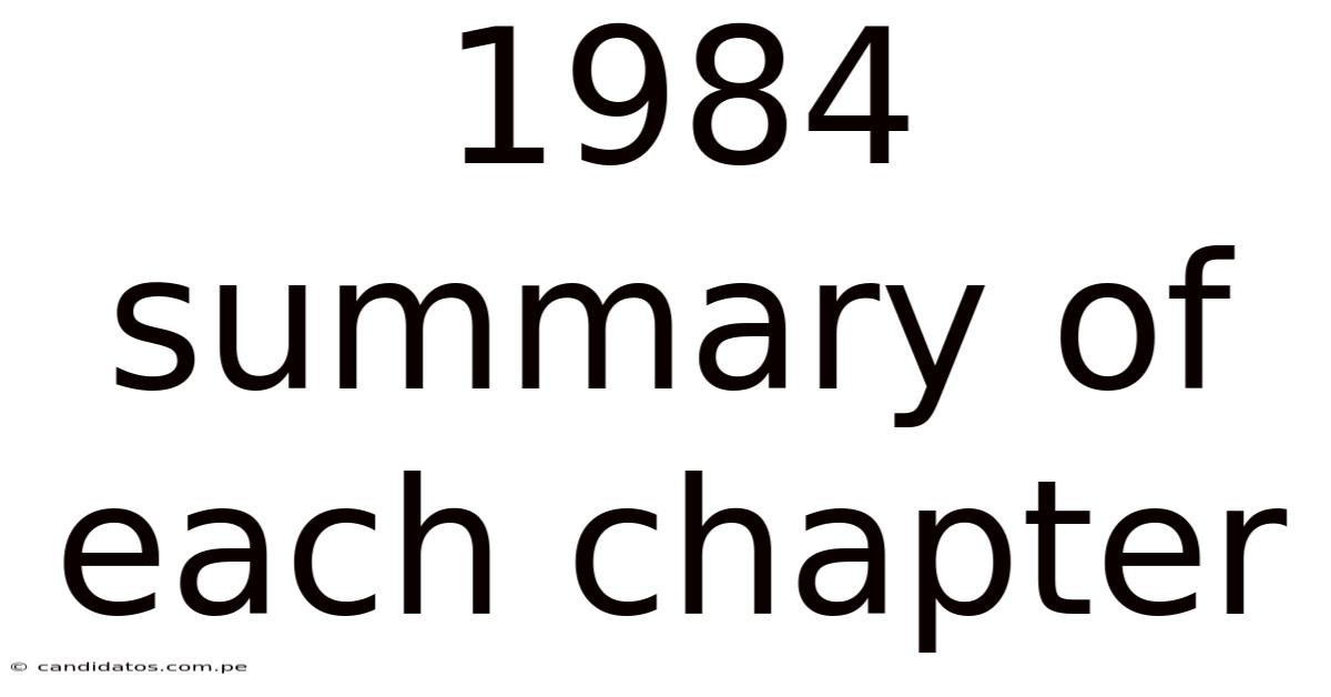 1984 Summary Of Each Chapter