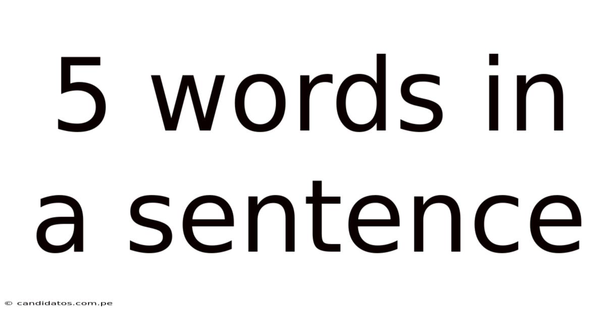 5 Words In A Sentence