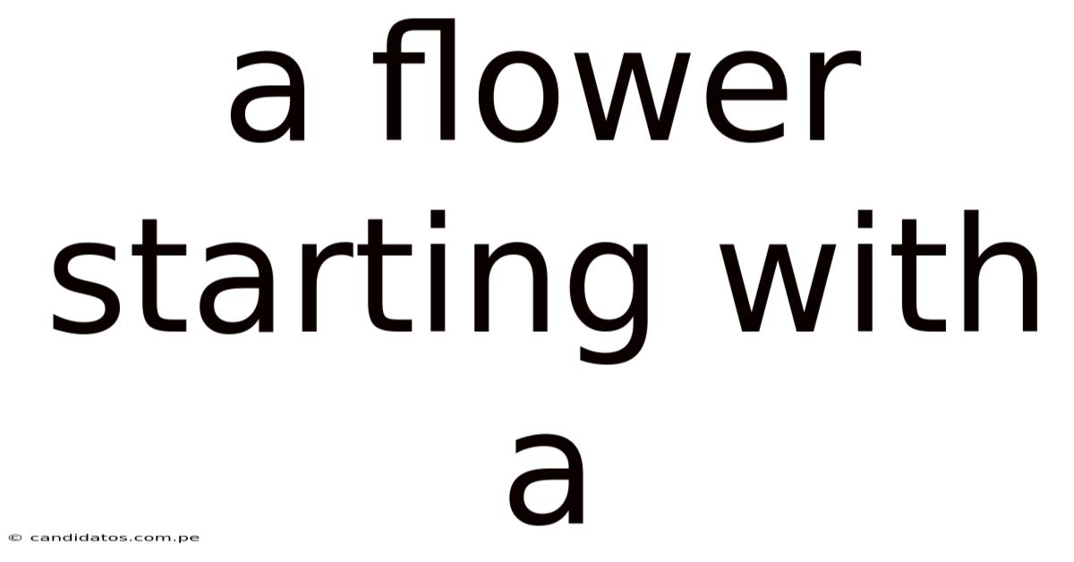 A Flower Starting With A
