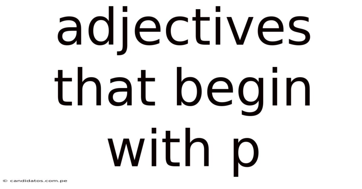 Adjectives That Begin With P