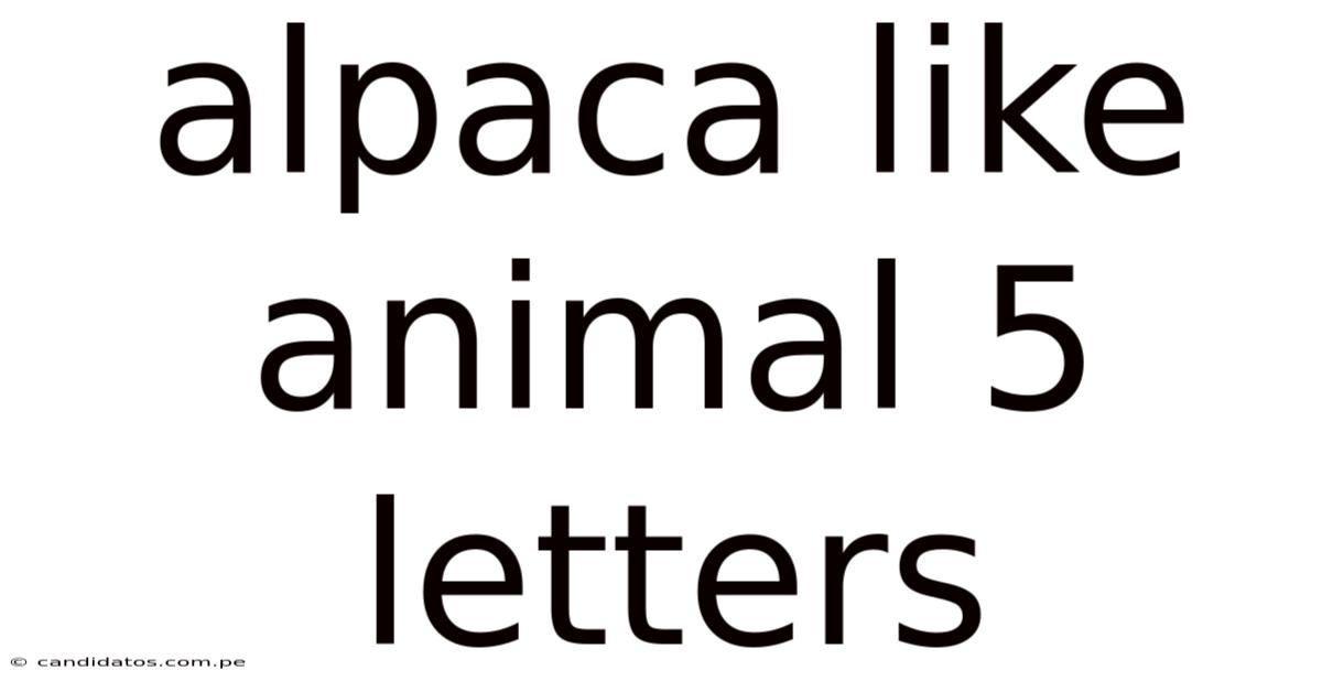Alpaca Like Animal 5 Letters