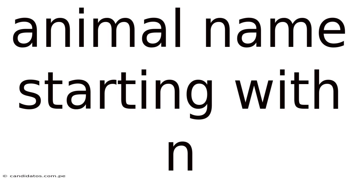 Animal Name Starting With N