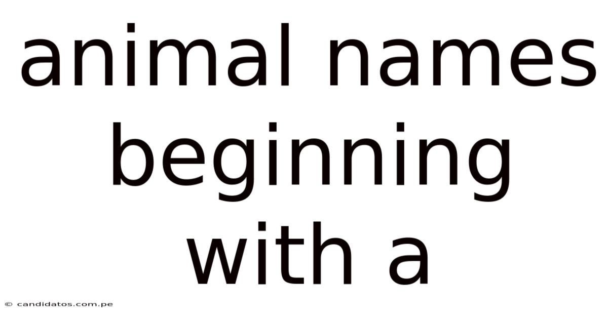 Animal Names Beginning With A