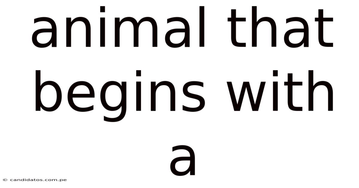 Animal That Begins With A