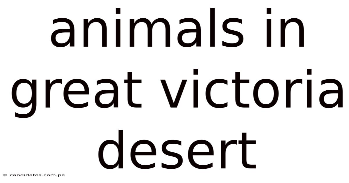 Animals In Great Victoria Desert