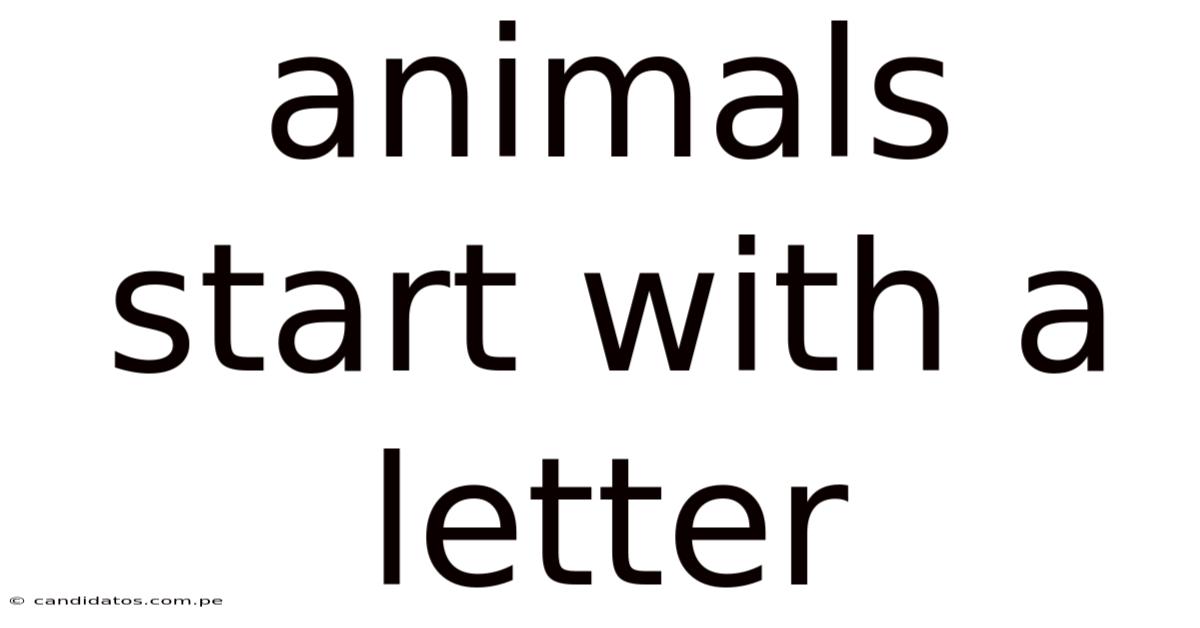 Animals Start With A Letter