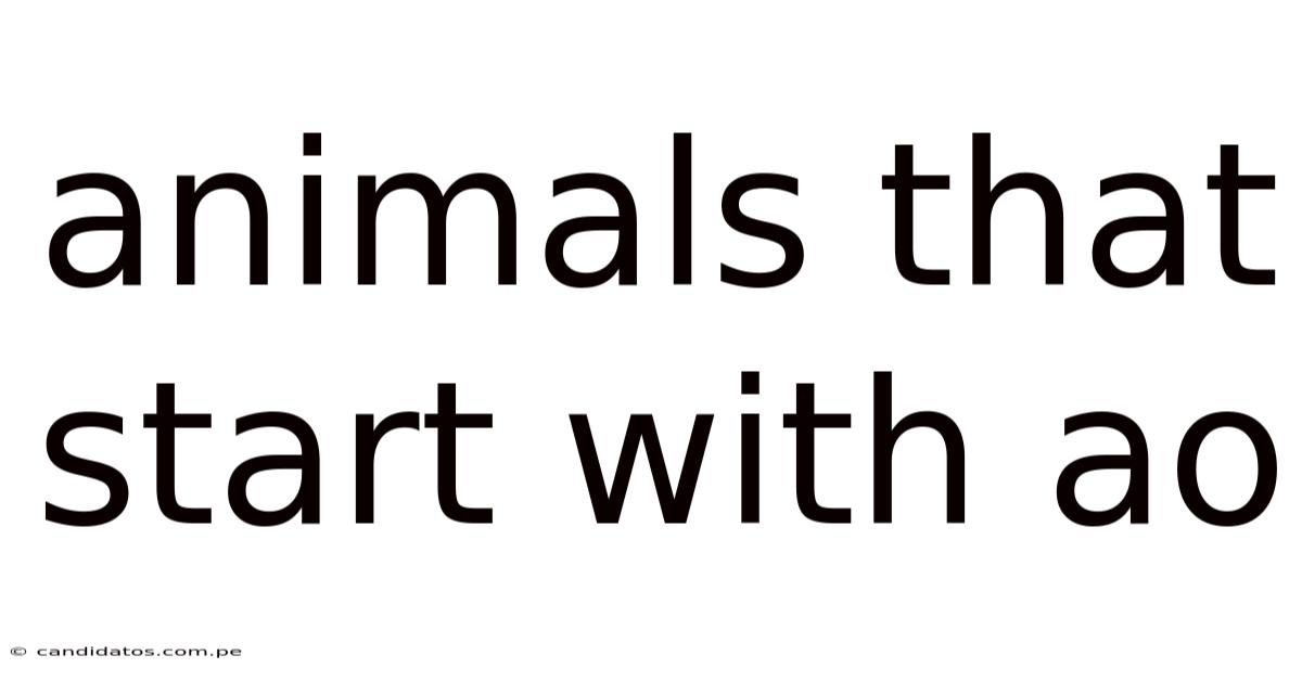 Animals That Start With Ao