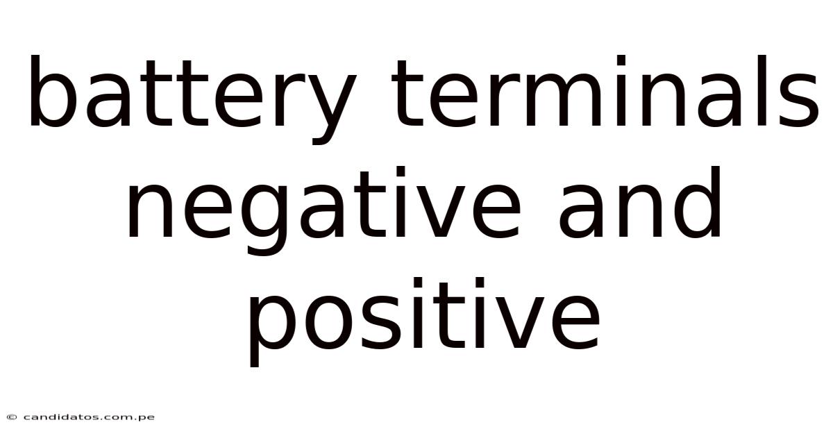 Battery Terminals Negative And Positive