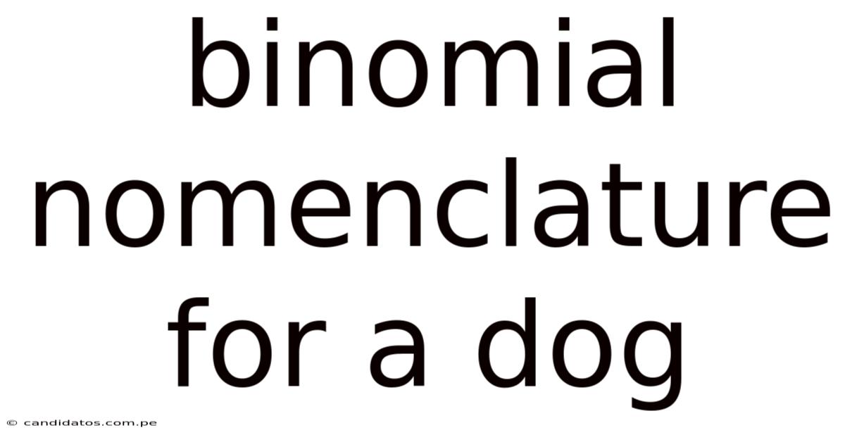 Binomial Nomenclature For A Dog