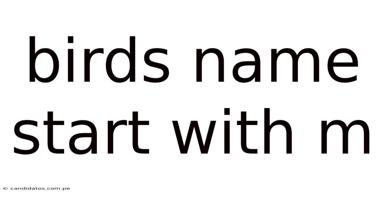Birds Name Start With M