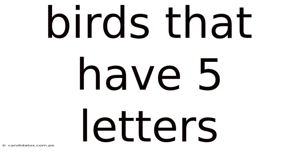 Birds That Have 5 Letters