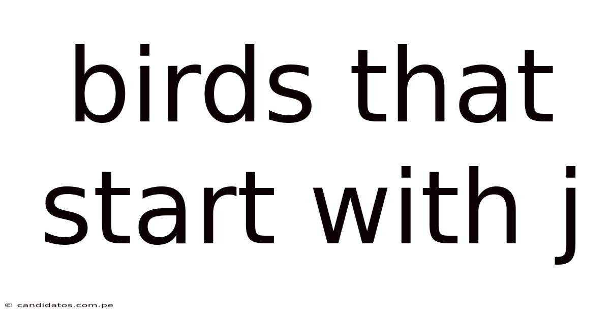 Birds That Start With J