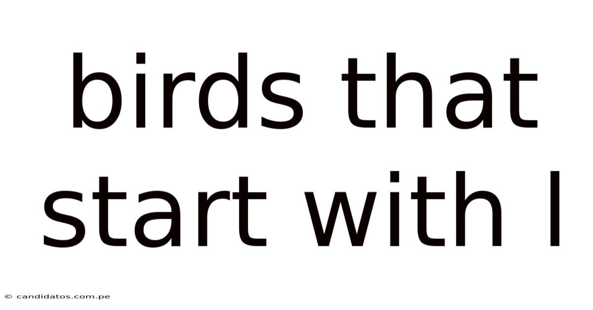 Birds That Start With L