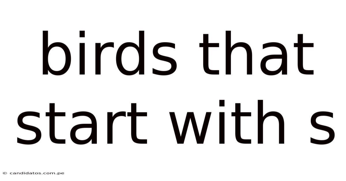 Birds That Start With S