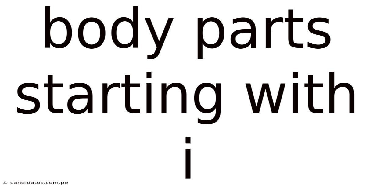 Body Parts Starting With I