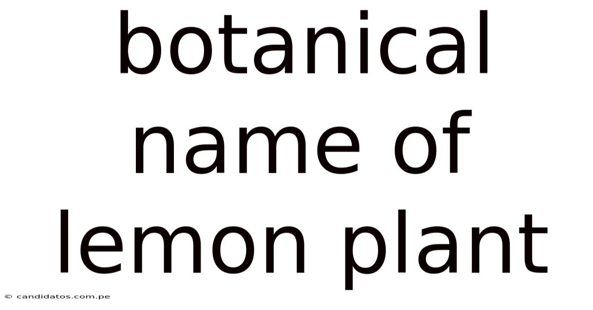 Botanical Name Of Lemon Plant