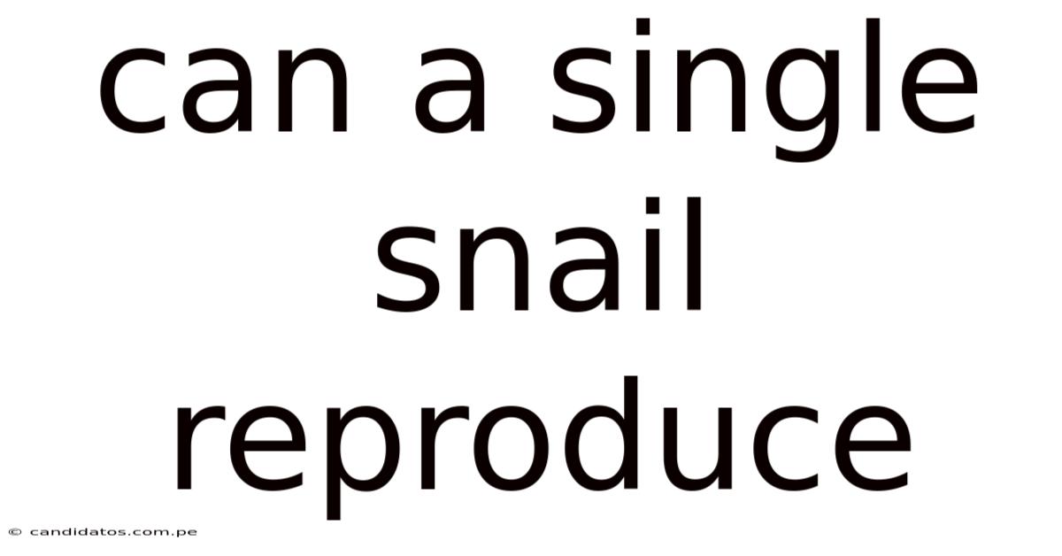 Can A Single Snail Reproduce