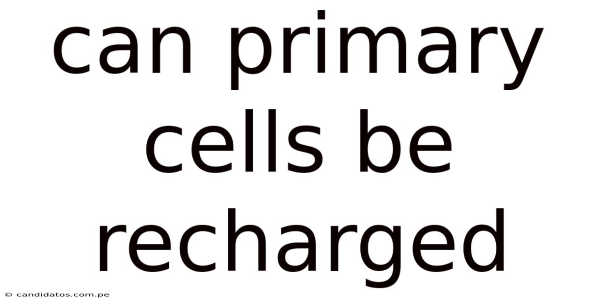 Can Primary Cells Be Recharged