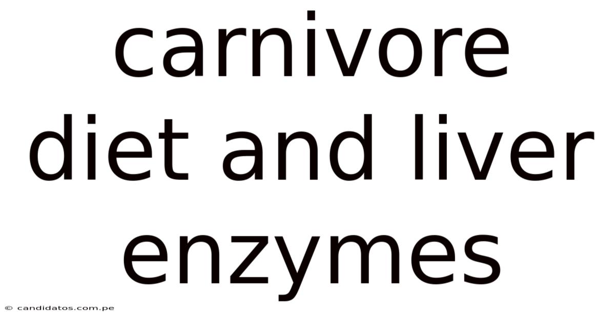 Carnivore Diet And Liver Enzymes