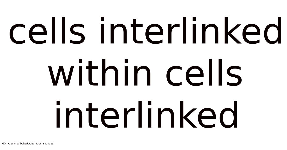 Cells Interlinked Within Cells Interlinked