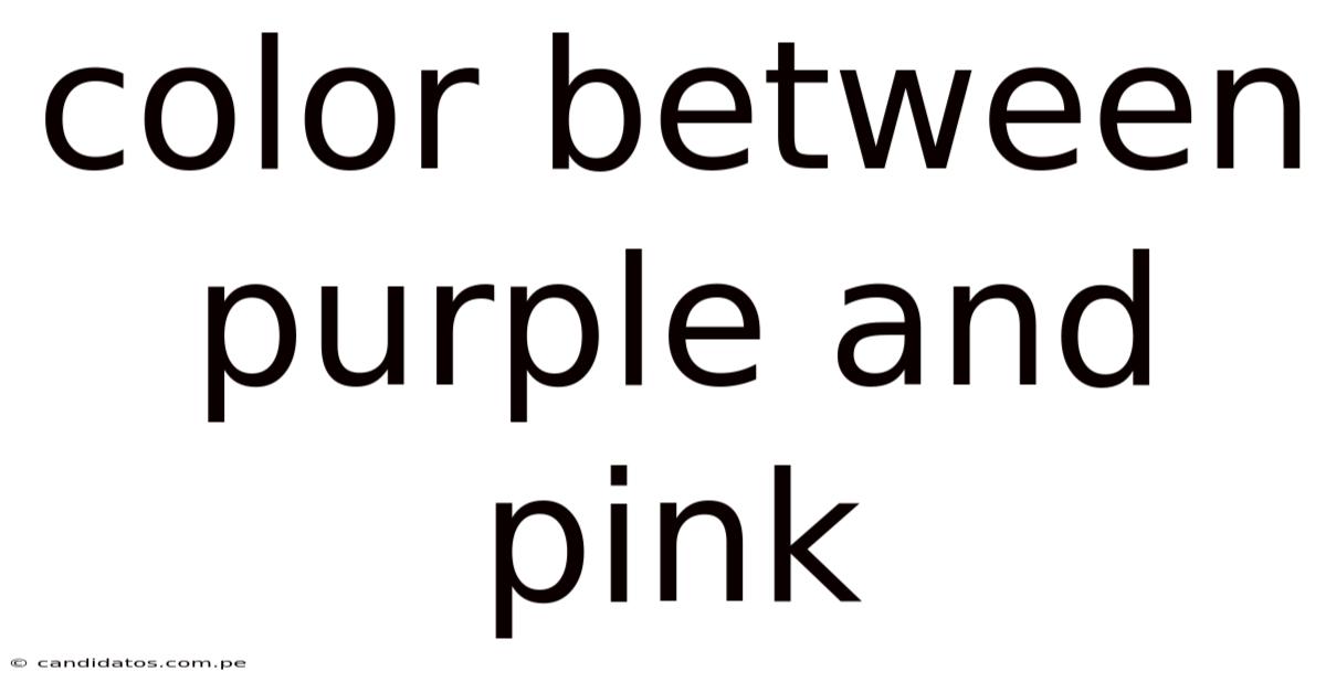 Color Between Purple And Pink