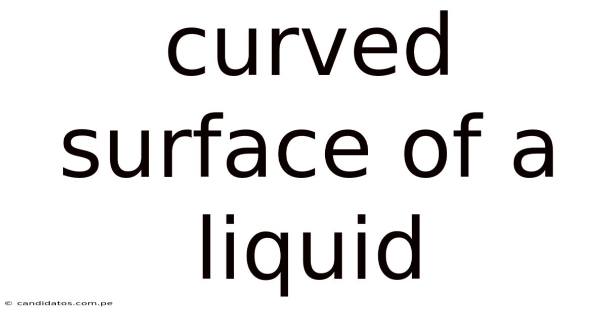Curved Surface Of A Liquid