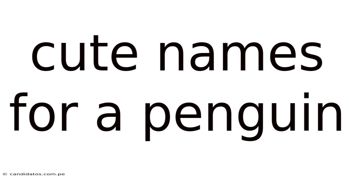 Cute Names For A Penguin