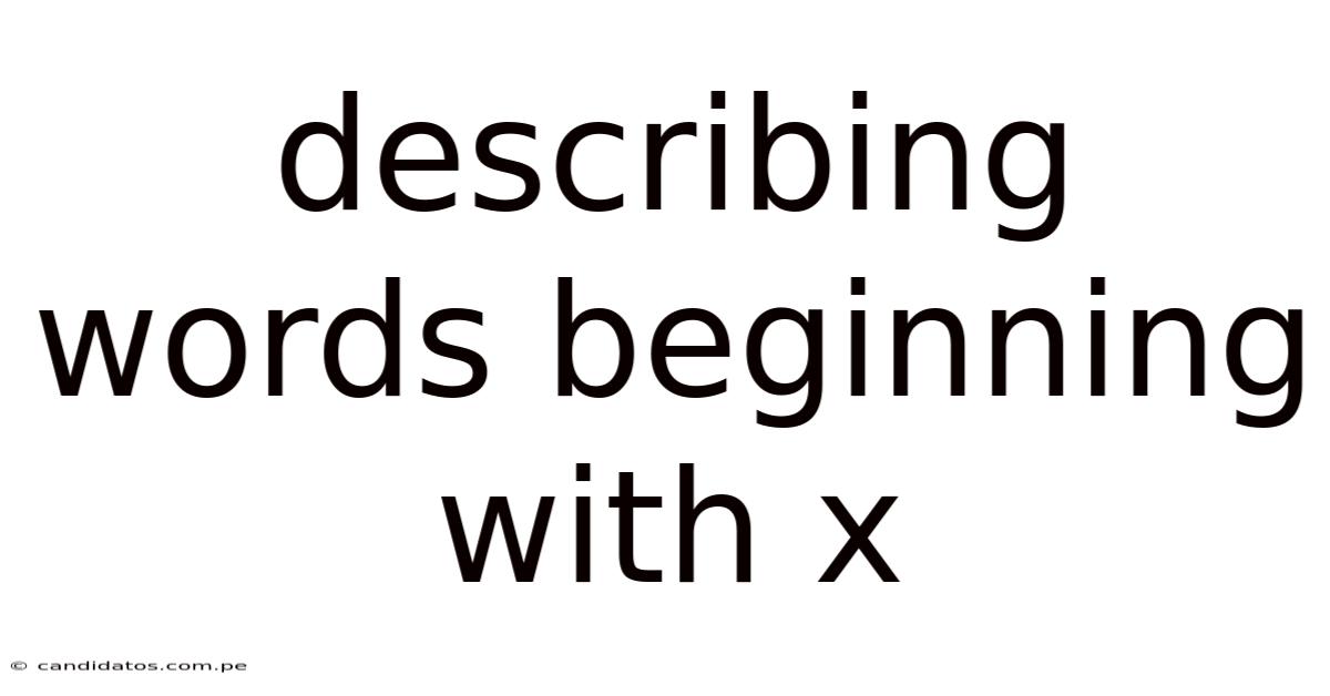 Describing Words Beginning With X