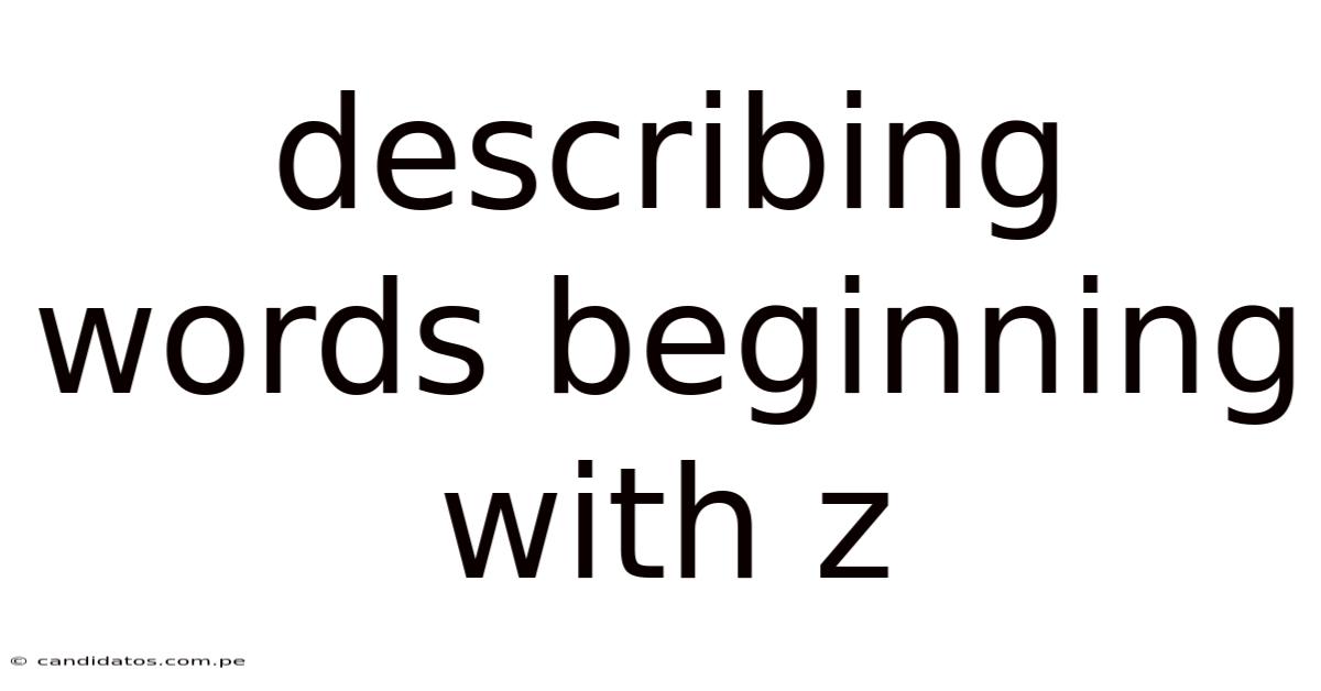 Describing Words Beginning With Z