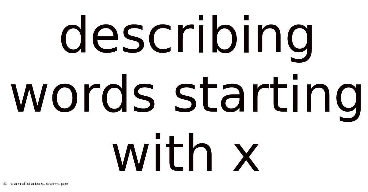 Describing Words Starting With X