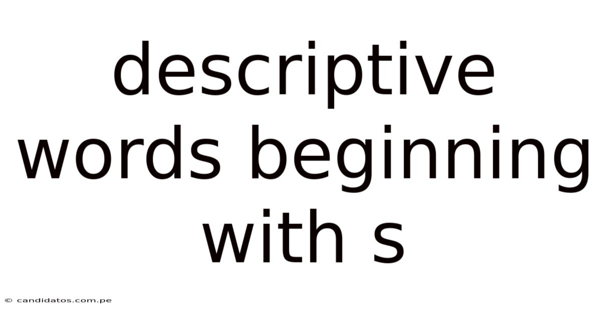 Descriptive Words Beginning With S
