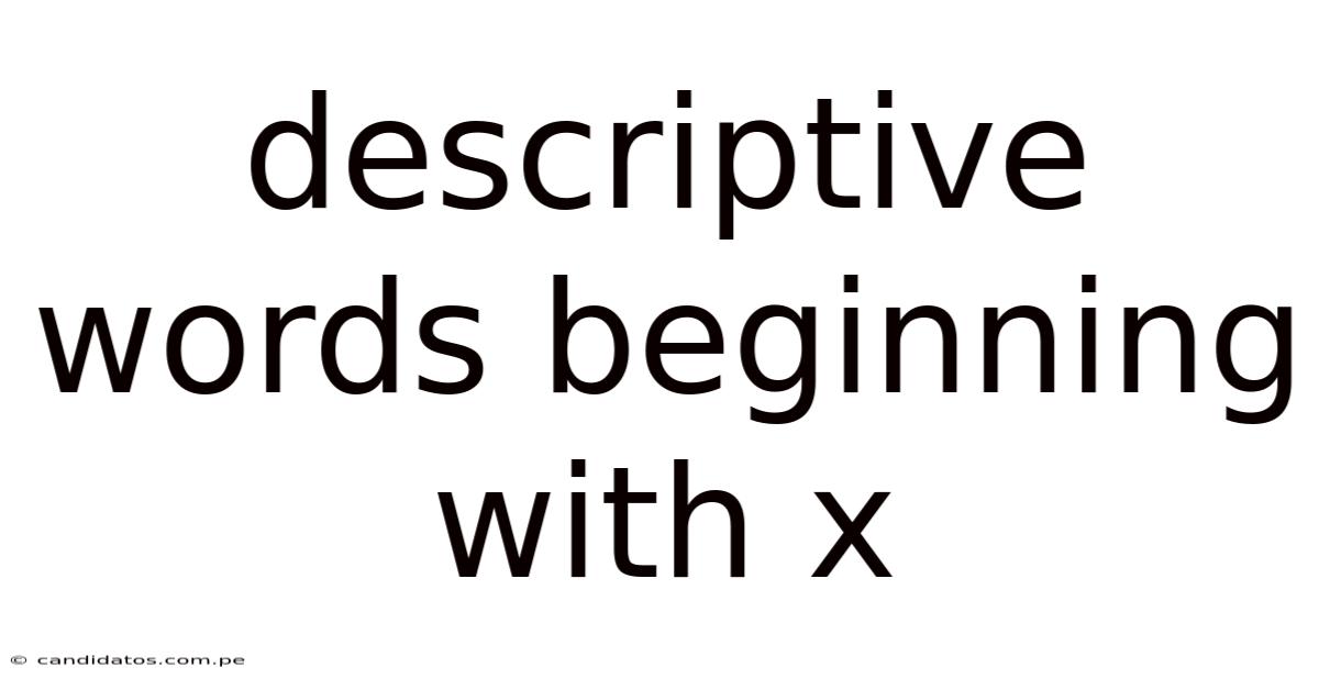 Descriptive Words Beginning With X
