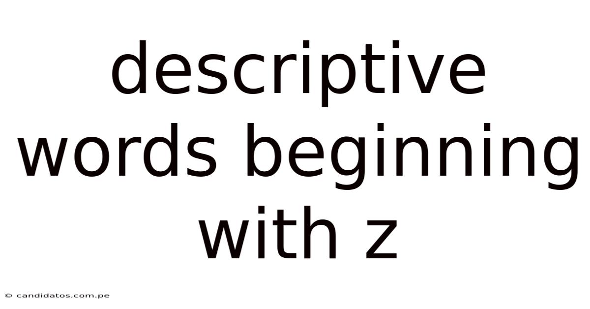 Descriptive Words Beginning With Z