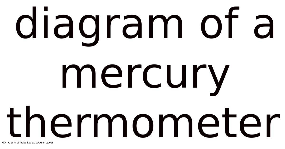 Diagram Of A Mercury Thermometer
