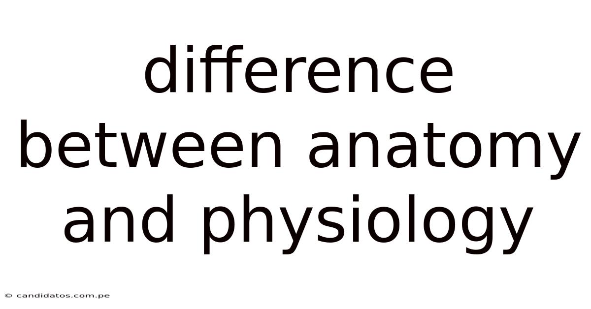 Difference Between Anatomy And Physiology