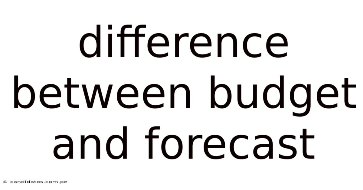 Difference Between Budget And Forecast