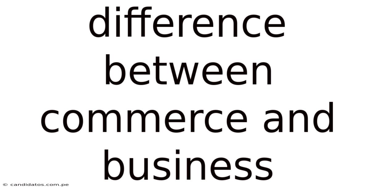 Difference Between Commerce And Business