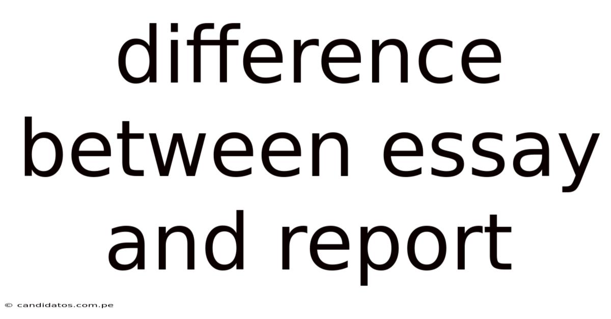 Difference Between Essay And Report