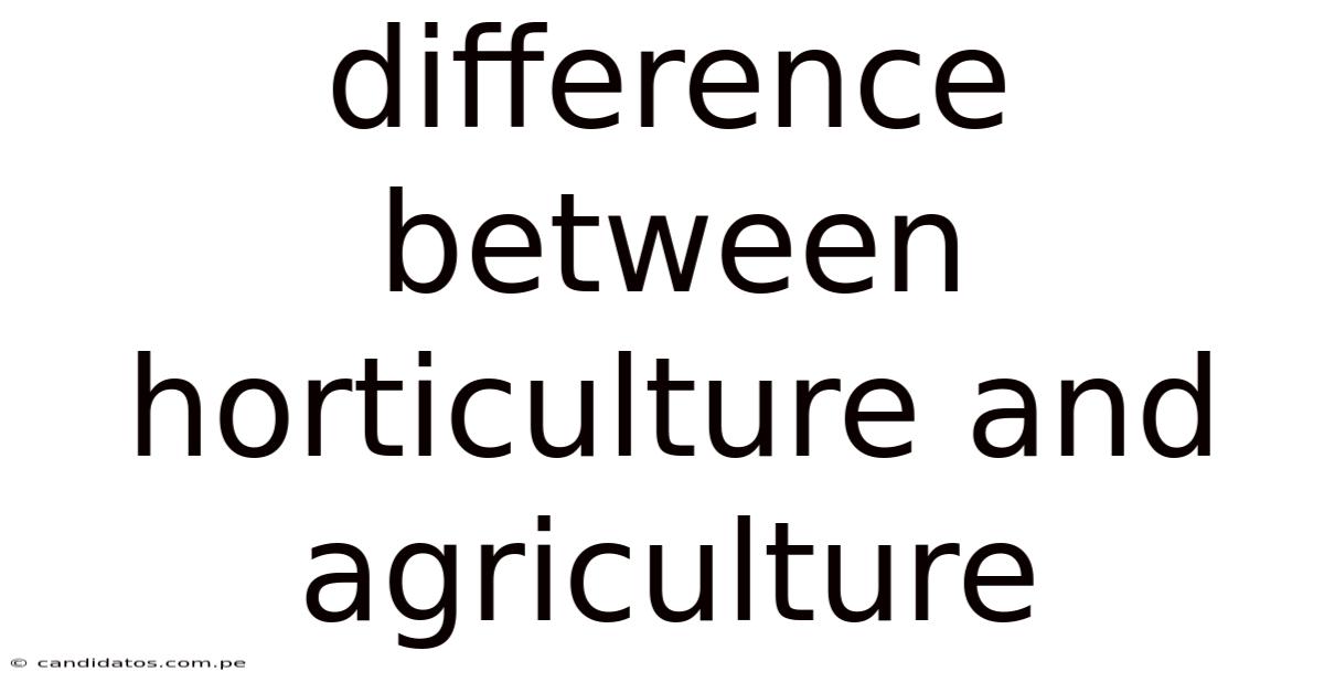 Difference Between Horticulture And Agriculture