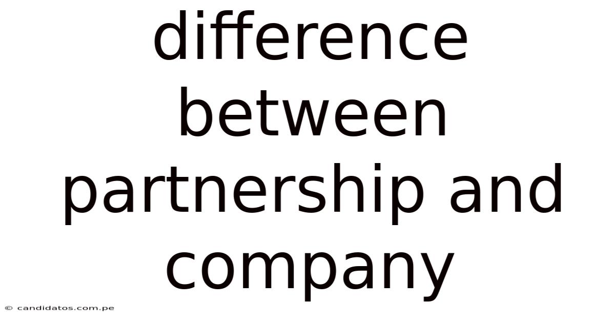 Difference Between Partnership And Company