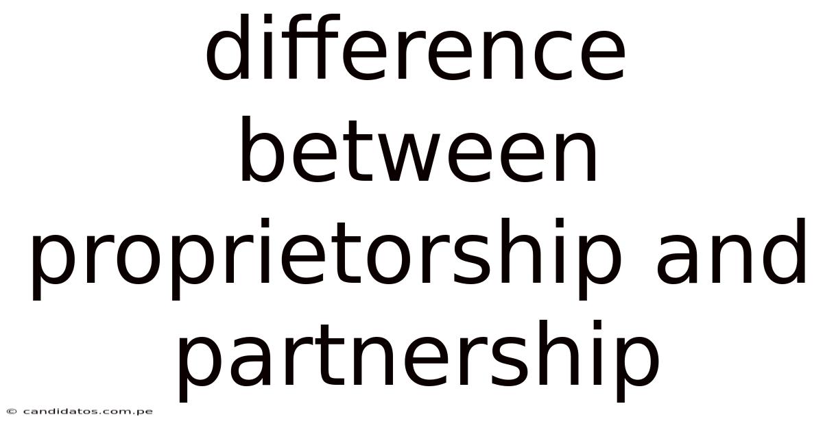 Difference Between Proprietorship And Partnership