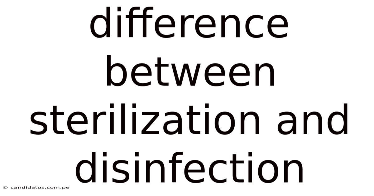 Difference Between Sterilization And Disinfection