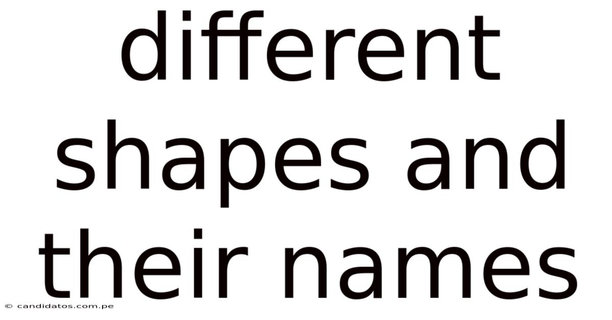 Different Shapes And Their Names