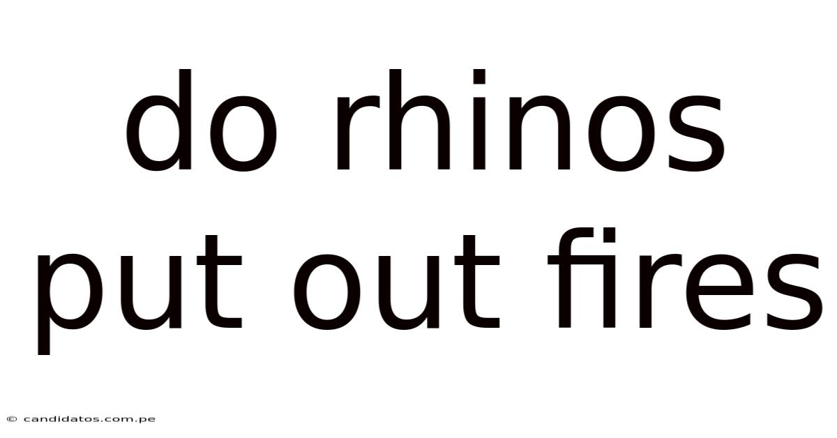 Do Rhinos Put Out Fires