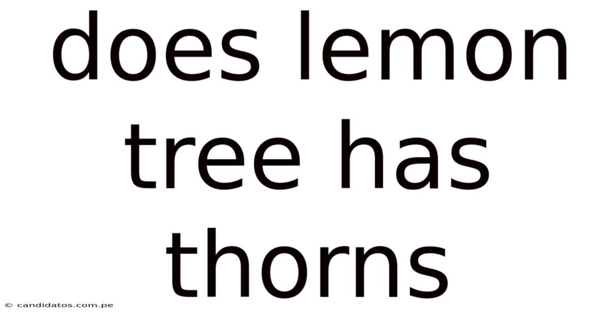 Does Lemon Tree Has Thorns