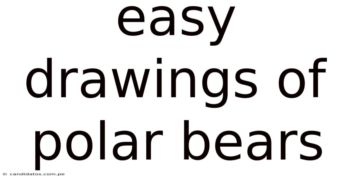 Easy Drawings Of Polar Bears