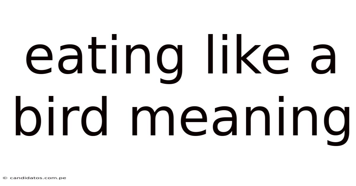 Eating Like A Bird Meaning